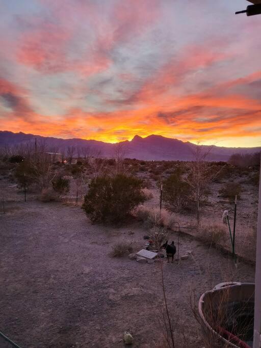A Rest After A Day In The Death Valley Desert Holiday home Scranton